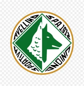 Logo dell’Avellino Calcio: scudo circolare verde e bianco con lupo stilizzato al centro.